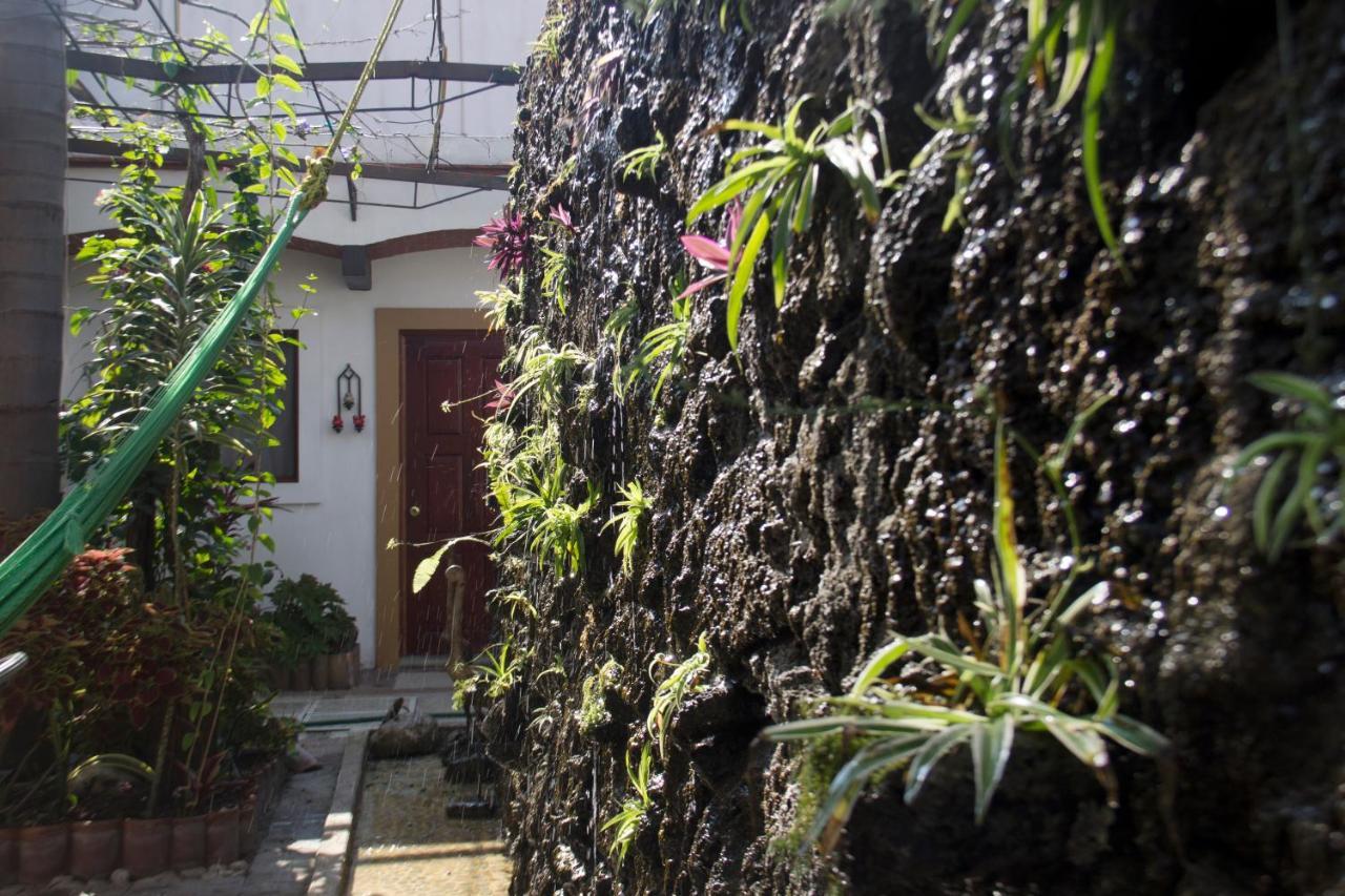 Hotel Mariposas Hotel&studios 3*