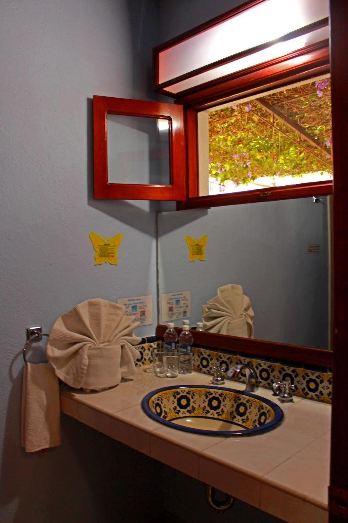 Mariposas & Oaxaca